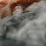 Fumoir à froid : quel modèle choisir pour fumer saumon et fromage ?
